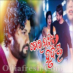 Tora Nahin Hrudaya - Human Sagar